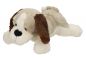 Preview: Peluche "chien aux longues oreilles" beige/blanc, 28 cm de Betz