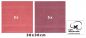 Preview: Betz Paquete de 10 toallas faciales PREMIUM 100% algodón 30x30 cm color rojo frambuesa y rojo baya