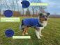 Preview: Betz Hundehandtuch Mantel aus Baumwolle mit Klettverschluss – 100 % Baumwolle – Bademantel - Saugstark - für alle Größen