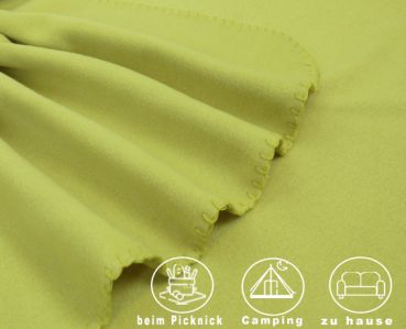 Betz Luxury Maxi Fleece Blanket Quality: 220 g/m² Colour: light green Size: 140x190cm