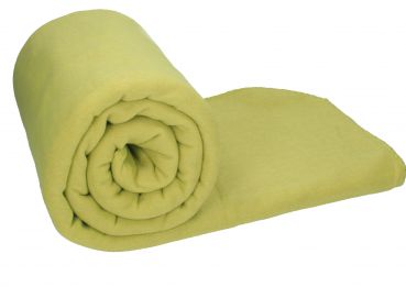 Betz Luxury Maxi Fleece Blanket Quality: 220 g/m² Colour: light green Size: 140x190cm
